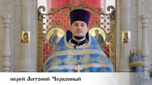 иерей Антоний Червонный, проповедь в праздник явления иконы Пресвятой Богородицы во граде Казани