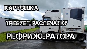 Дальнобой по России 🇷🇺 Картофель с поля испортились выгрузка МОНЕТКА Екатеринбург возраст товара