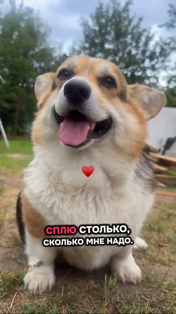 ❤️