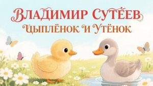 Сказка на ночь для детей «Цыпленок и Утёнок» Владимир Сутеев