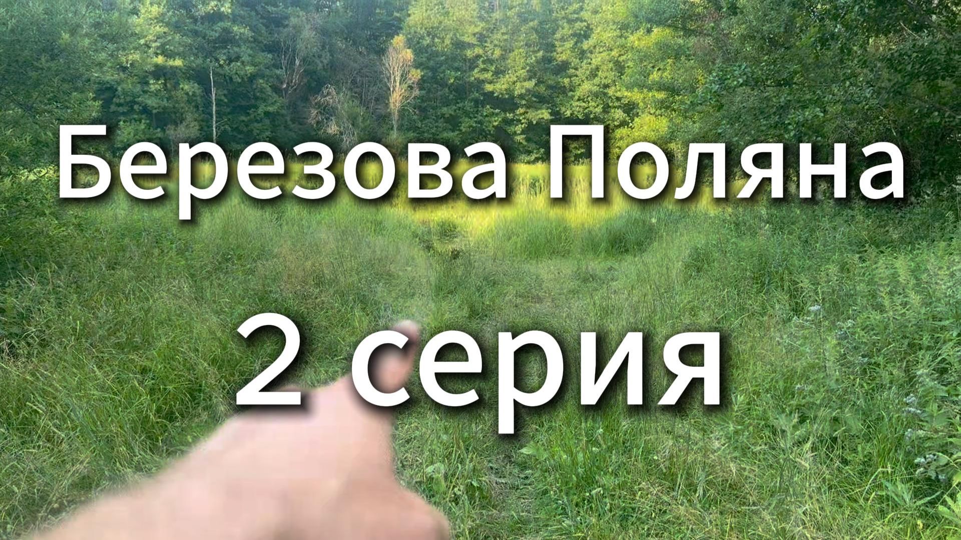 Березова Поляна 2 серия #Я #Вихрицкий #Блогер #сериал #природа #счастье #турист #область #барышево