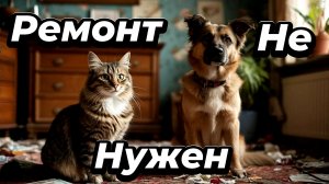 Ремонт не нужен,у меня есть кот и собака🐕😂🔥