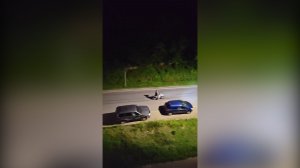 (Рыбинск-40) НОЧНЫЕ НАРУШИТЕЛИ СПОКОЙСТВИЯ