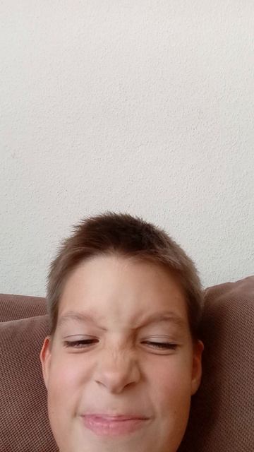 Е пафтарил