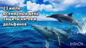 *** С ДНЁМ ЗАЩИТЫ КИТОВ И ДЕЛЬФИНОВ *** ПЕСНЯ ПРО ДЕЛЬФИНОВ ***