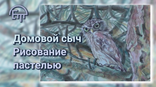 Домовой сыч. Рисование пастелью Домовой сыч. Рисование пастелью