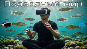 1 серия - Подводный мир - АСМР-видео в VR 360