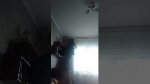 1000009491.mp4