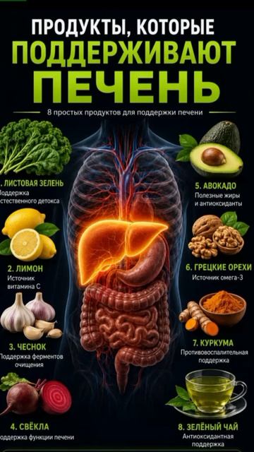 Продукты которые поддерживают печень.