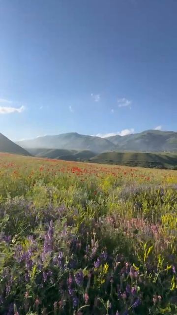 🇦🇲A❤️R💙M🧡E📖N✝️I🗻A🤝
