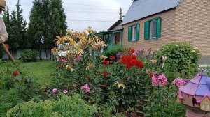 / Дачная хроника -2026 / - часть 2 .