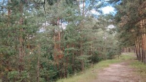 Что привело Лермонтова М. Ю. к последней для него дуэли?