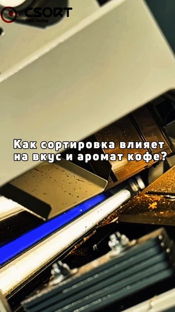 ☕ Как сортировка влияет на вкус и аромат кофе?