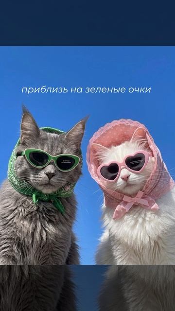 -8416304766230961928 смотреть онлайн