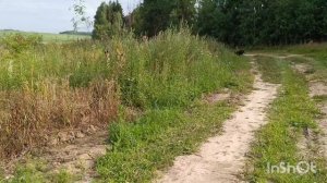 Дачные заботы, июль 2026