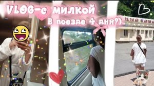 ВЛОГ С МИЛКОЙ В ПОЕЗДЕ!!!) 4ДНЯ🫠!!) куда мы приехали?))