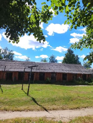 день рождения ♥️