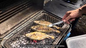 FISH13 Кемпинг в кузове пикапа Cybertruck с бассейном 🏊