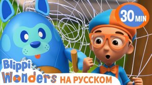 Истории для детей. Приключения Блиппи. Как паук плетет паутину?