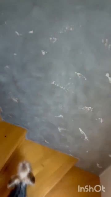 86667 смотреть онлайн