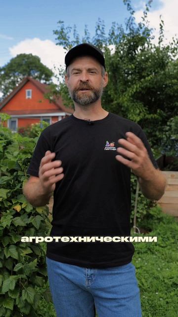 КЛЕЩИ УЖЕ ЗАХВАТИЛИ ВАШУ ДАЧУ? ПРОВЕРЬТЕ УЧАСТОК ПРЯМО СЕЙЧАС 🕷️😳 КЛЕЩИ УЖЕ ЗАХВАТИЛИ ВАШУ ДАЧУ? ПРОВЕРЬТЕ УЧАСТОК ПРЯМО СЕЙЧАС 🕷️😳
