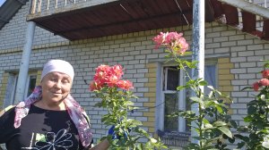 Подстригаю парковые розы, на чём зарабатываю