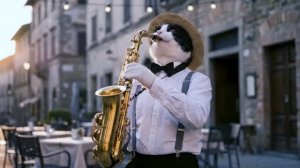 Bella Ciao [Джазовый сет от Wild Band]
