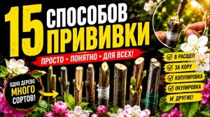 Как Привить Любое Дерево 15 Простых и Эффективных Способов   Умный Огород