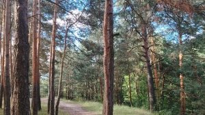 Немного о вредный советах в жизни и о делах рутубных