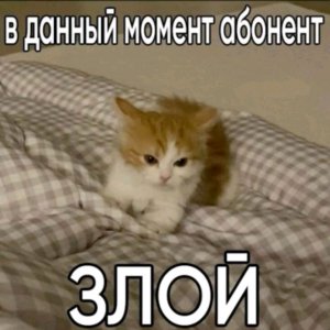 рб