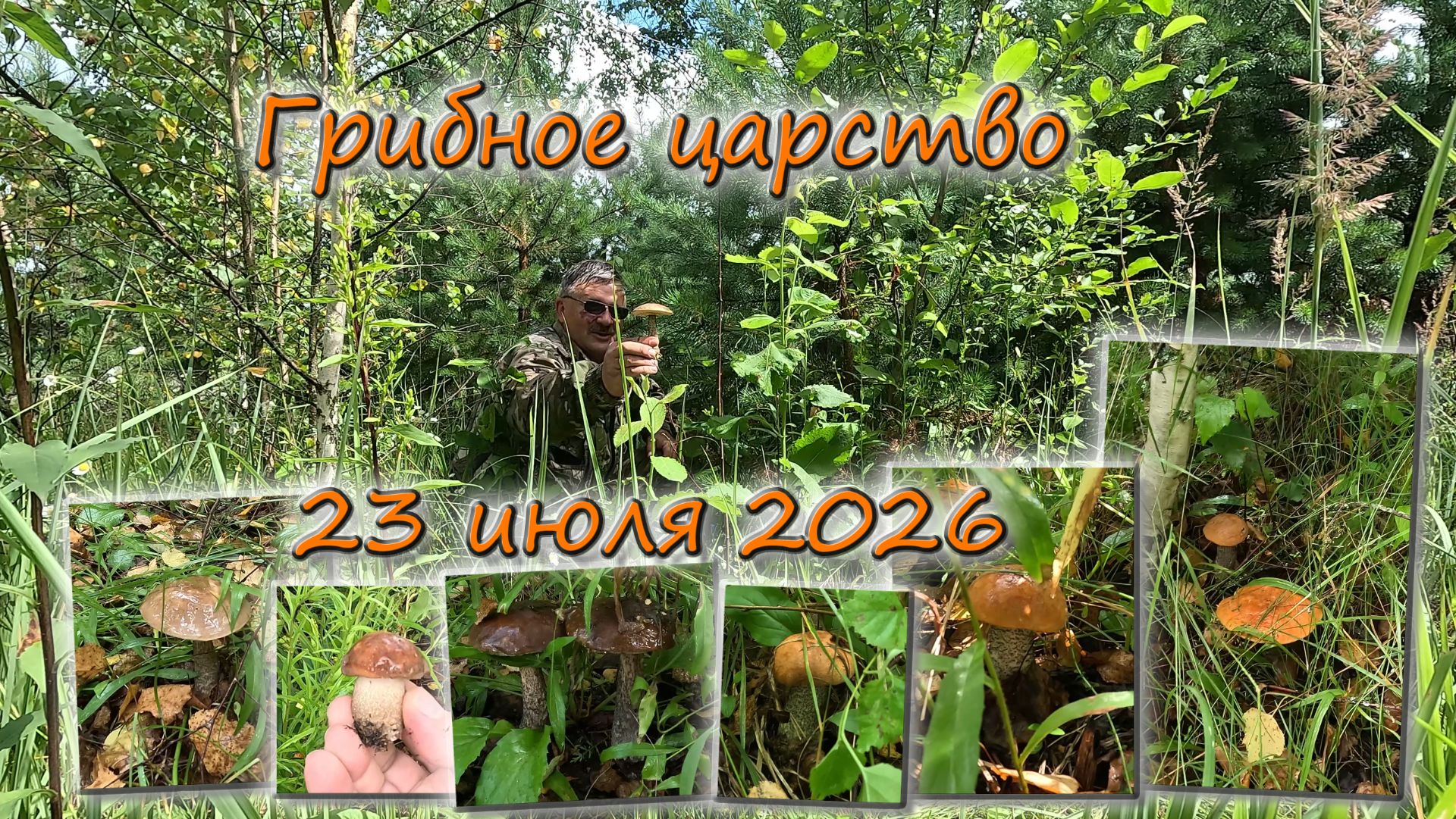 Грибное царство 23 июля 2026 смотреть онлайн