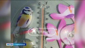 На Ставрополье установилась рекордная жара
