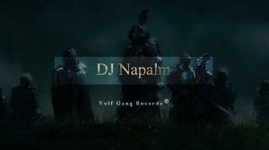 Volf Gang Records®: DJ Napalm