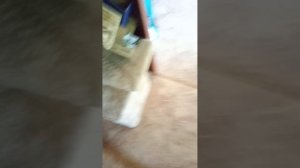 VID_20260503_160555