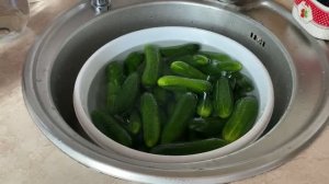 Заготовки с настроением_ мариную огурцы 🥒,довариваю варенье 😋и гуляю с￼ Чокой🐕#заготовкиназиму