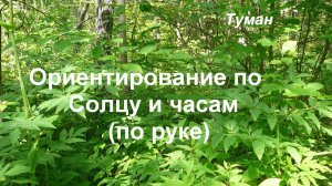 Ориентирование по Солнцу и часам (по руке)