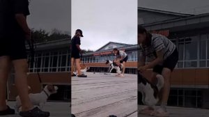 ~всякая всячина~