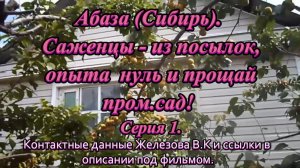 Абаза (Сибирь). Саженцы - из посылок, опыта  нуль и прощай пром.сад! Серия 1.
