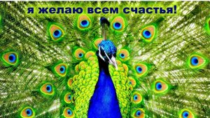 Молитва за мир во всем мире! Live 23.07.2026