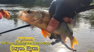 РЫБАЛКА ХОЖУ БРОЖУ ИЩУ РЫБУ ЛОВЛЮ ХИЩНИКА БЕЛЬ РЕКА РАНЬШЕ БЫЛА ОЧЕНЬ РЫБНОЙ СЕЙЧАС ЗАЦЕПЫ И ОТРЫВЫ