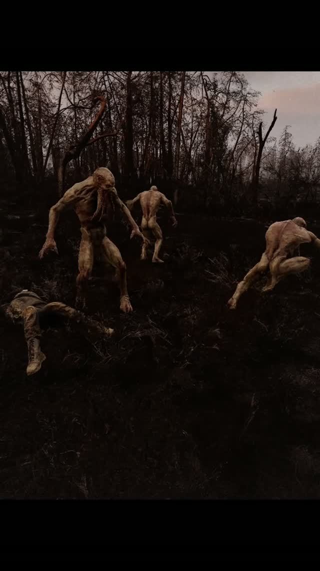 S.T.A.L.K.E.R. 2  Кровососы