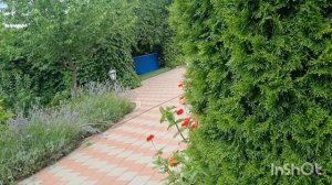 А мы хотели в Лабу ,а попали в Акватонику! Отдыхаем ,плаваем и загораем!
