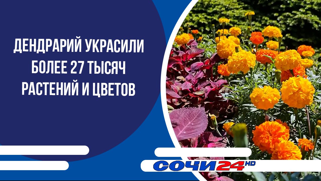 Дендрарий украсили более 27 тысяч растений и цветов смотреть онлайн