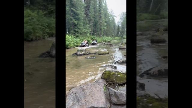 КРАСАВЕЦ АЛТАЙ