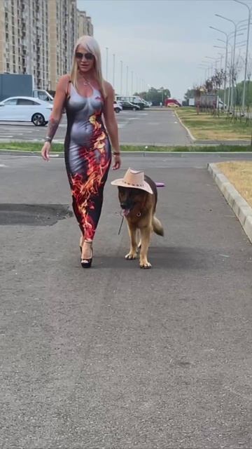 ☺️💃🐕🚗