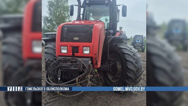 Милиция Гомельщины продолжает активно пресекать хищения в сфере АПК