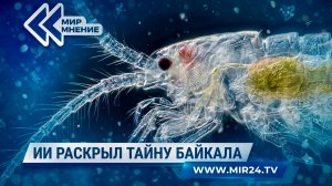 Нейросеть ускорила анализ воды Байкала: что именно обнаружили ученые?