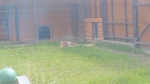 BCHJ4395_23.07.2026-Видео от Ивана