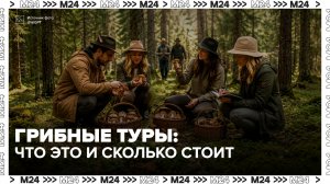 Спрос на гидов по грибным местам вырос в Москве в 1,5 раза - Москва 24