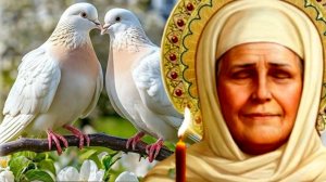 РАДИ БОГА НЕ ПАДАЙТЕ ДУХОМ,А УКРЕПЛЯЙТЕ СЕБЯ  МОЛИТВОЮ С ЖИВОЮ ВЕРОЮ..МАТУШКА МАТРОНА ч.16